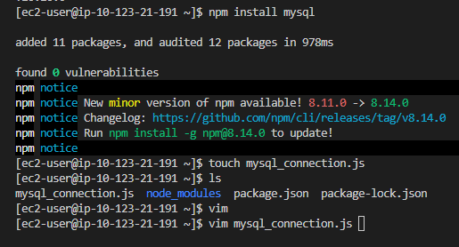 JavaScript file creation for database connection