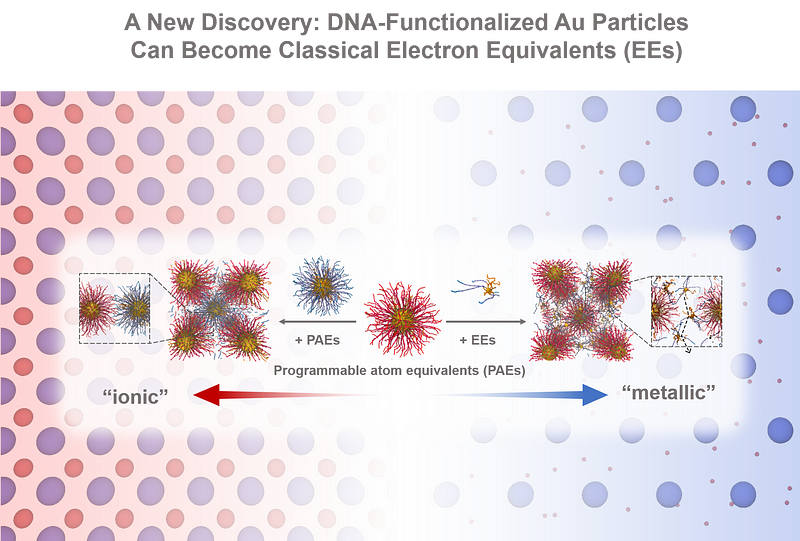 Comparison of nanoparticle behaviors