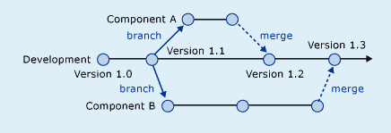 Version Control System Example