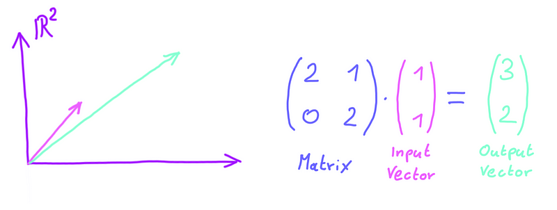 Matrix as a transformation tool