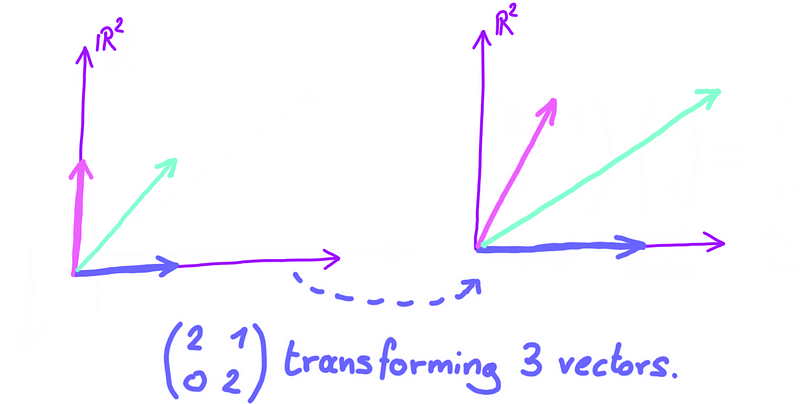 Matrix transforming multiple vectors