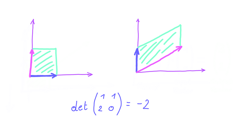 Visualizing orientation reversal with negative determinant