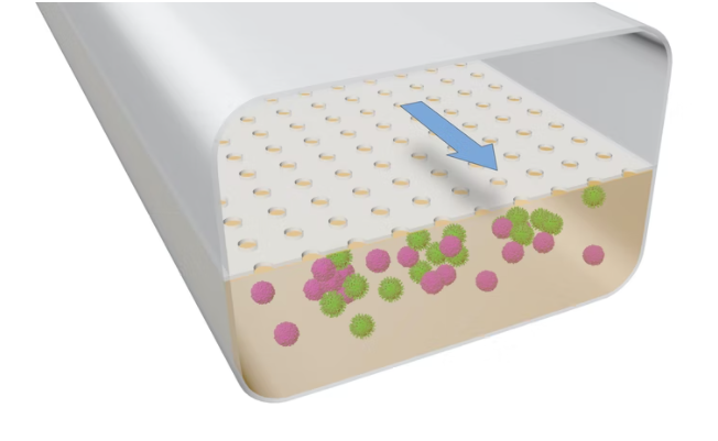 Diagram of the LF Chip showcasing its structure