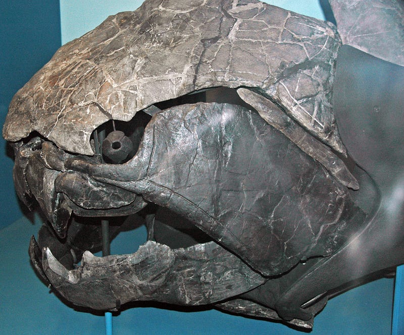 Prehistoric fish with spikes and bony armor