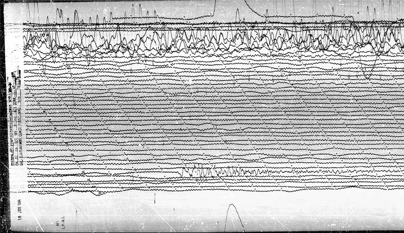 Seismogram analysis from the Niigata earthquake