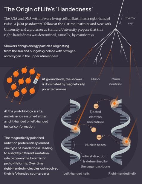 Overview of cosmic ray interactions with Earth