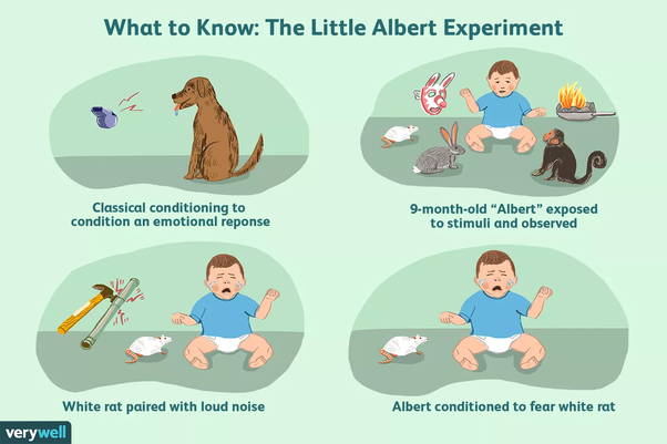 Illustration of the Little Albert Experiment